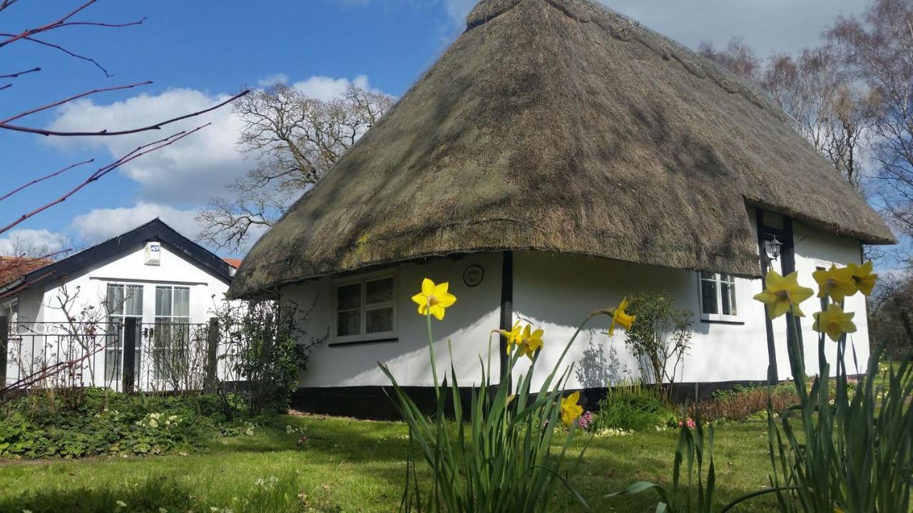 Frogs Hall B&B Eye  Eksteriør bilde